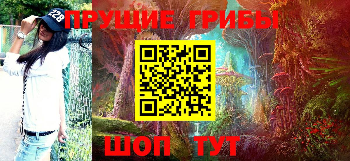 Псилоцибиновые грибы Psilocybe  Вход с VPN  Минусинск 